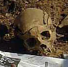 Encotrados siete cuerpos en la exhumación de una fosa común de la Guerra Civil en la comarca de Osona (Barcelona)